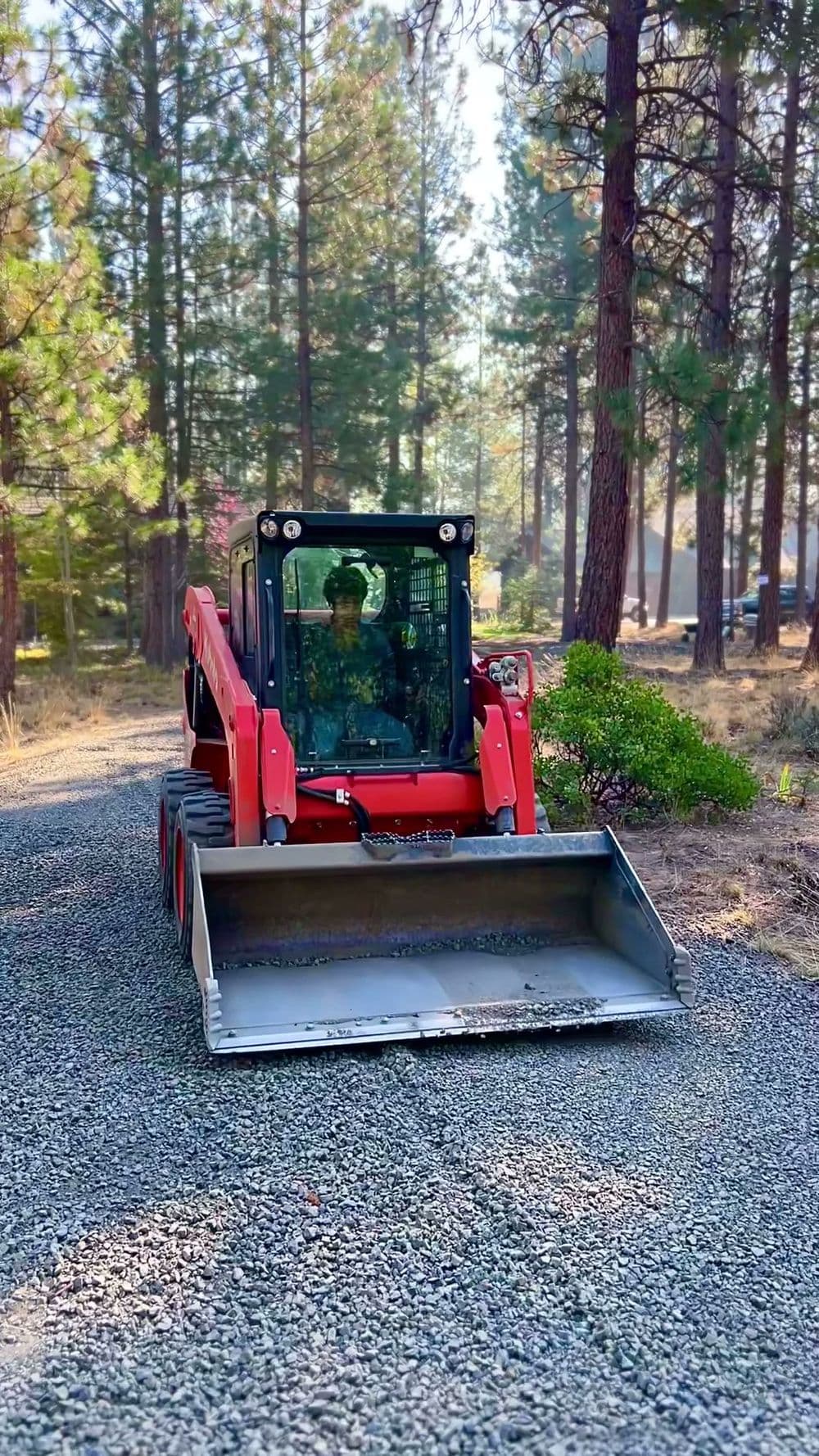 Red compact track loader with a grading bucket parked on a fresh gravel drive under tall pines.