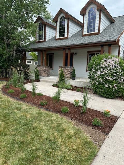 Revitalized Front Yard with Modern Flair image