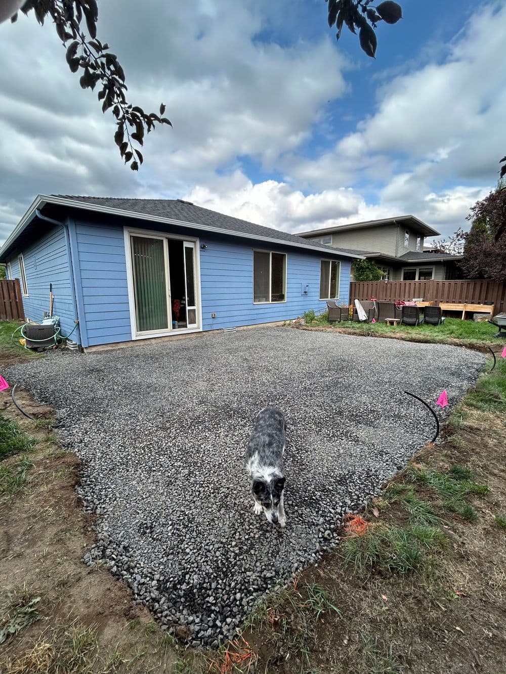 Dog walking on a gravel patio in front of a blue house under a cloudy sky.