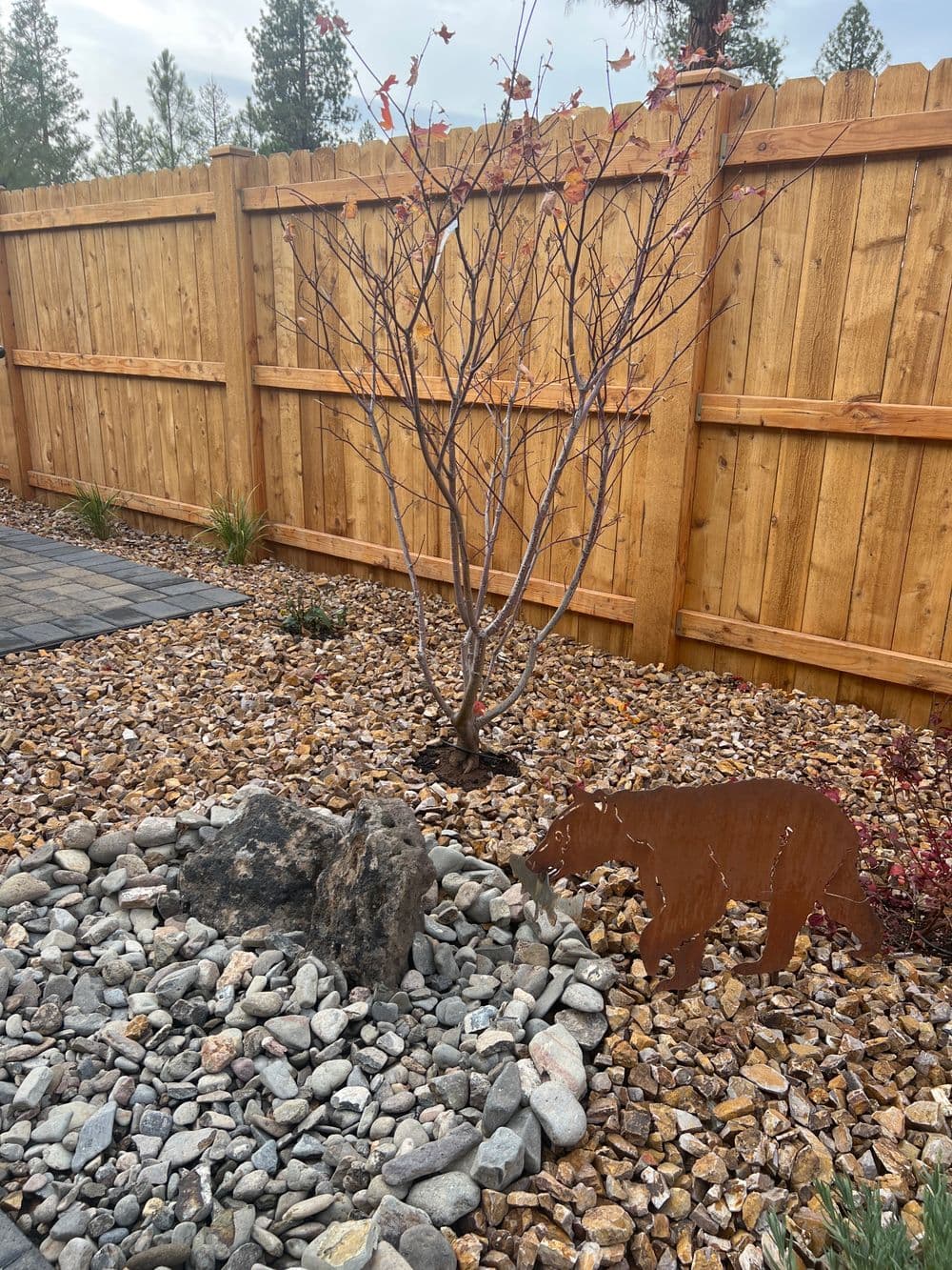 Decorative outdoor garden with a bear sculpture, rocks, and a small tree beside a wooden fence.