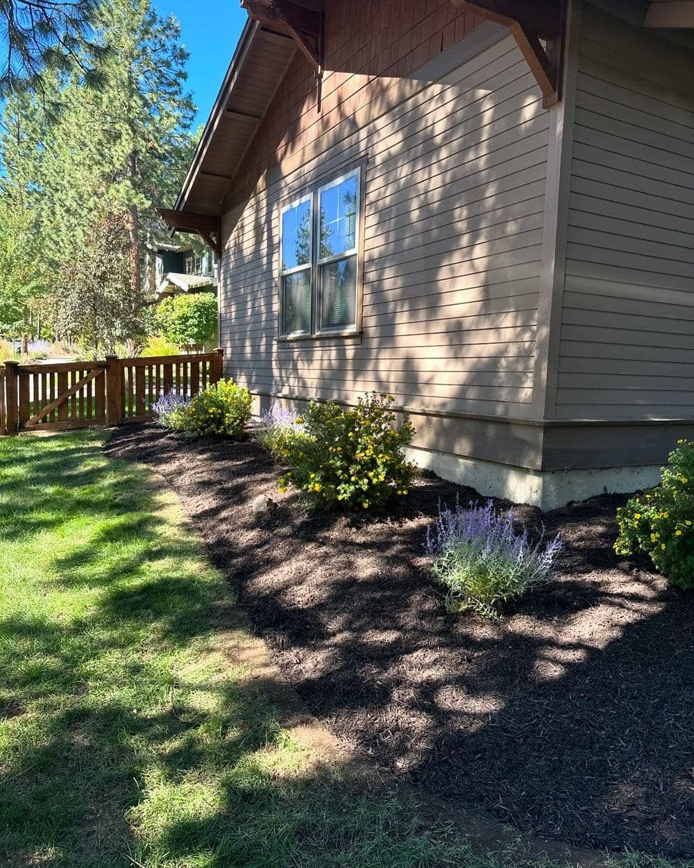 Side view of a house with landscaped garden featuring yellow and purple flowers.