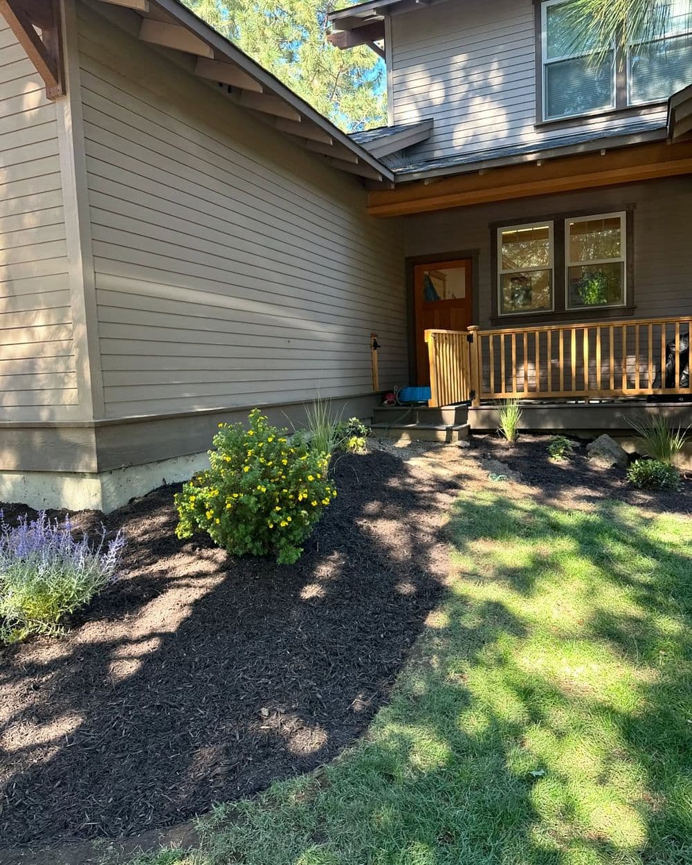 Front yard of a house featuring landscaped garden, mulch, and flower beds with lavender and yellow flowers.