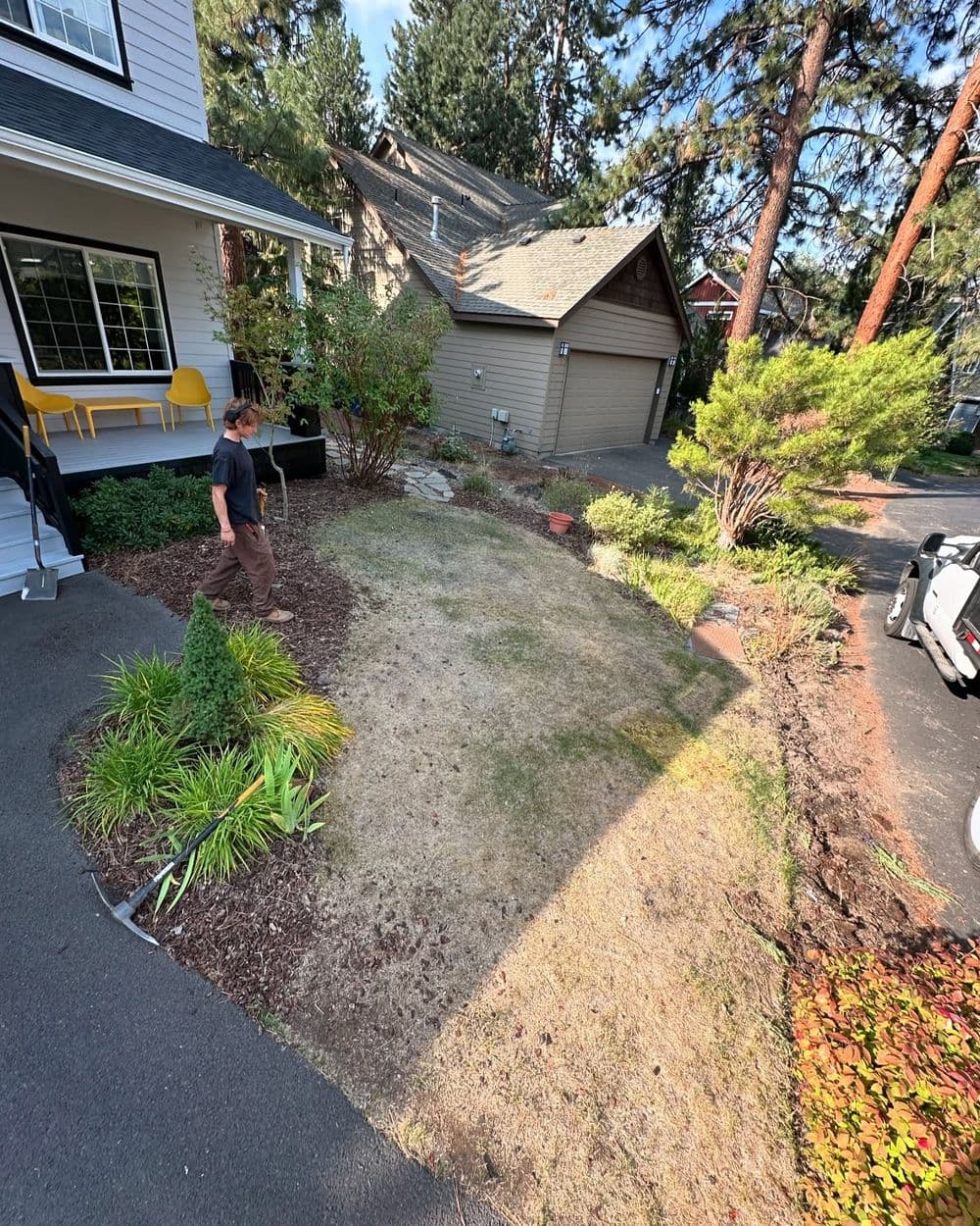 Person walking on a dry lawn surrounded by lush greenery and homes in a residential area.