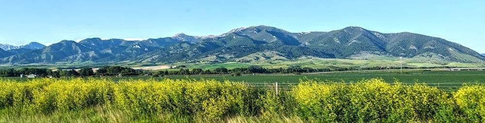 Wide view across the Gallatin Valley: green hay fields and a brush line in front of the Bridger Range.